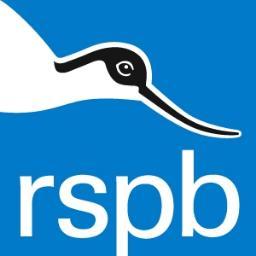 Free RSBP Bird Guide