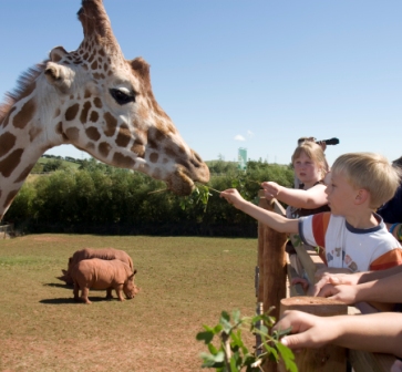 South lakes wild animal park free entry