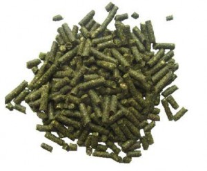 Free rabbit and guinea pig food