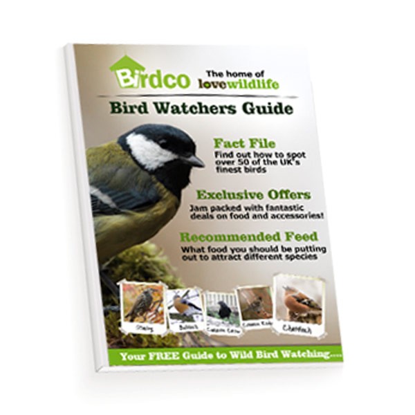 Free Bird Watching Guide