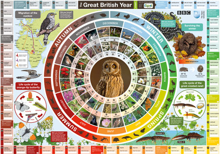 Free BBC Great British Year Poster