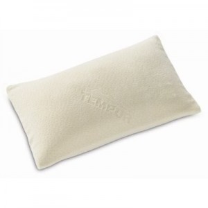 ree tempur travel pillow