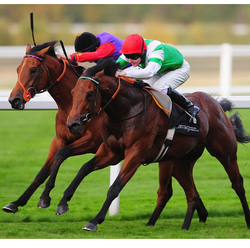 Free Ascot Racecourse Tickets