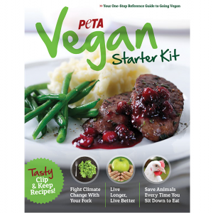 Free Vegan Recipe Book