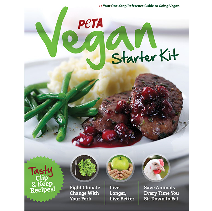 Free Vegan Recipe Book