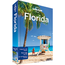 Free Lonely Planet Travel Book