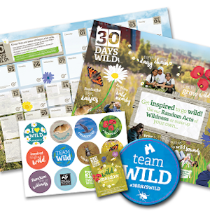 Free Wildflower Seeds Pack