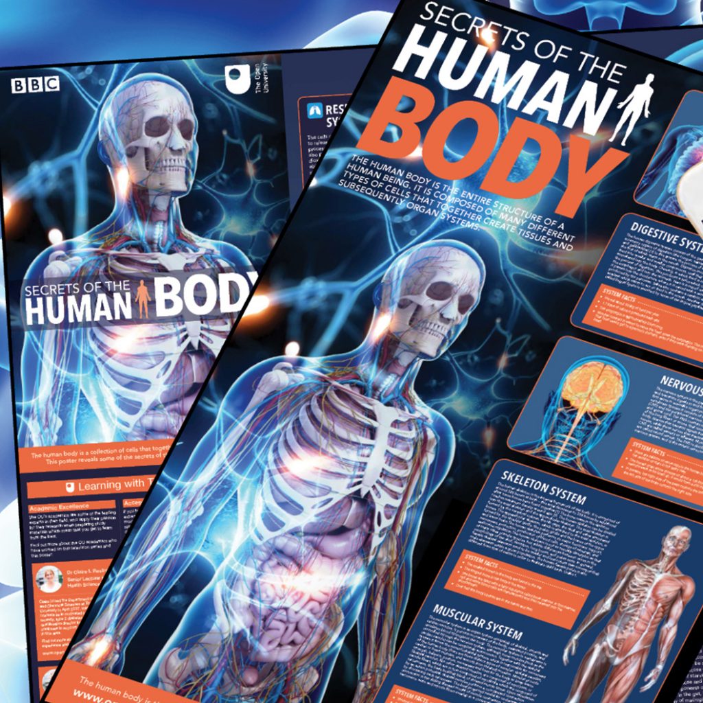 Free Secrets of the Human Body Poster