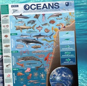 Free BBC Blue Planet 2 Poster