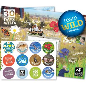 Free Wildlife Stickers & Seeds