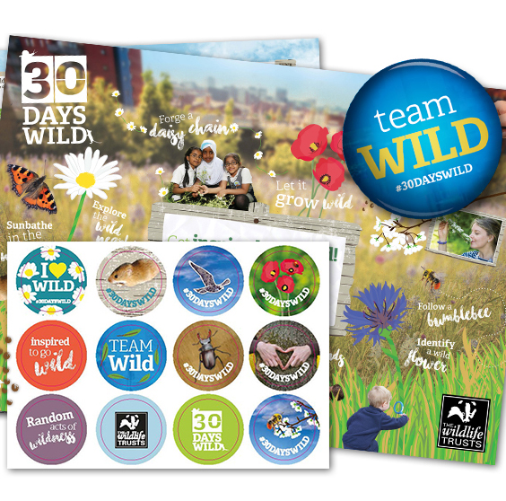 Free Wildlife Stickers & Seeds