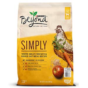 Free Purina Dog Food Bag