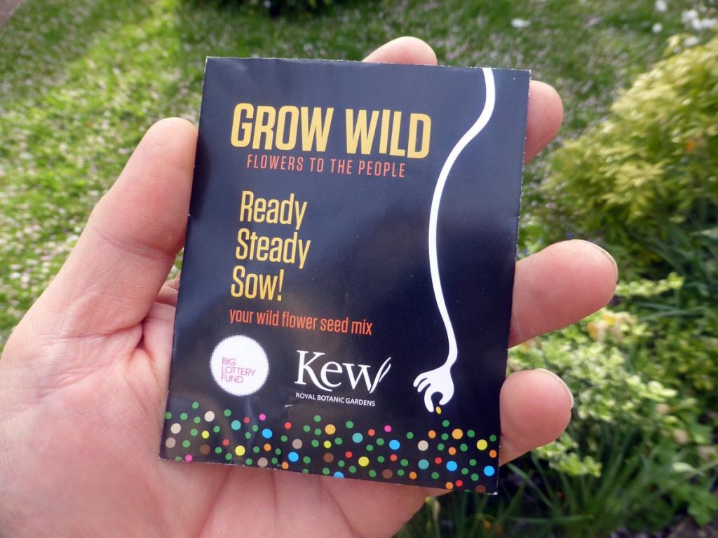 Free Spring Wildflower Seeds