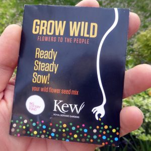 Free Spring Wildflower Seeds