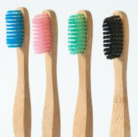 Free Bamboo Toothbrush