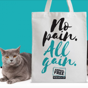 Free Canvas Shopping Bag