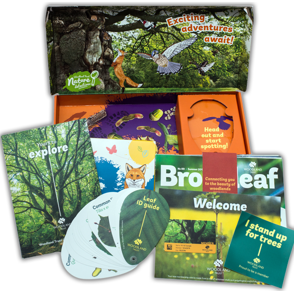 Free Wildlife Activity Chart