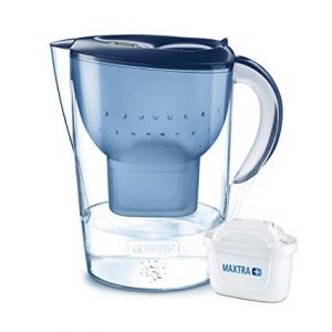 Free BRITA Water Jug