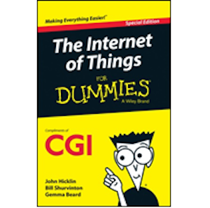 Free Internet For Dummies Book