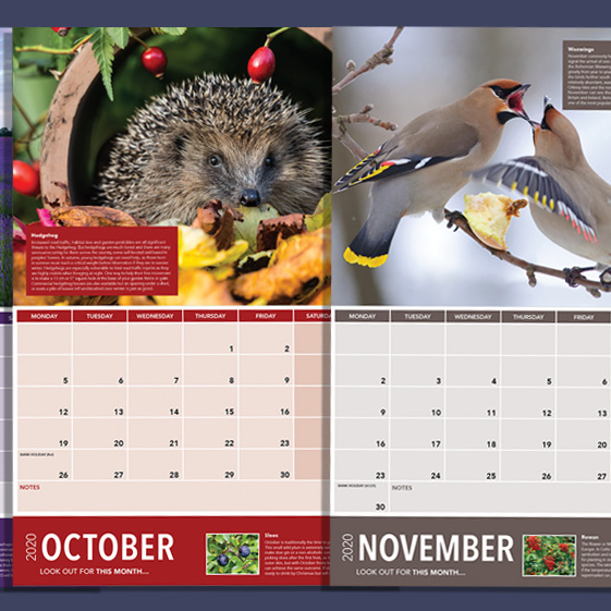 Free Wildlife 2020 Calendar