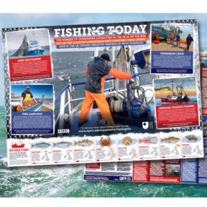 Free Fishing Poster