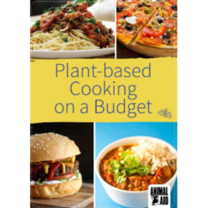 Free Vegan Cookbook