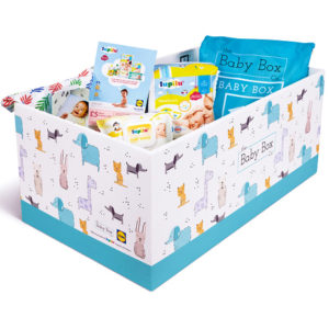 Free Baby Box