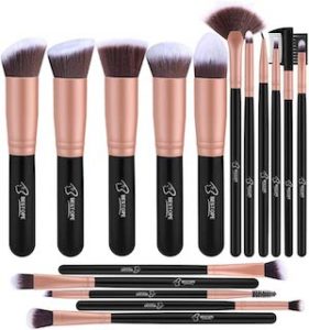 Free Professional Makeup Brush Set