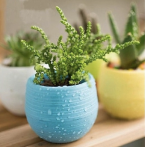 Colourful Plant Pots – 85% Off Today!