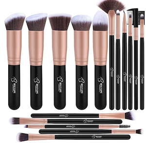 Free Professional Makeup Brush Set