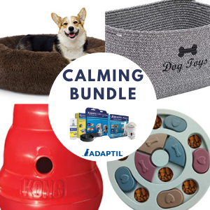 Win a Dog Bed, Kong Toy & More!