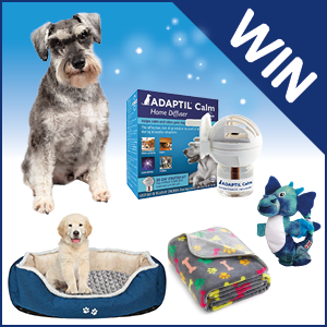 Free Pet Food Latestfreestuff Co Uk
