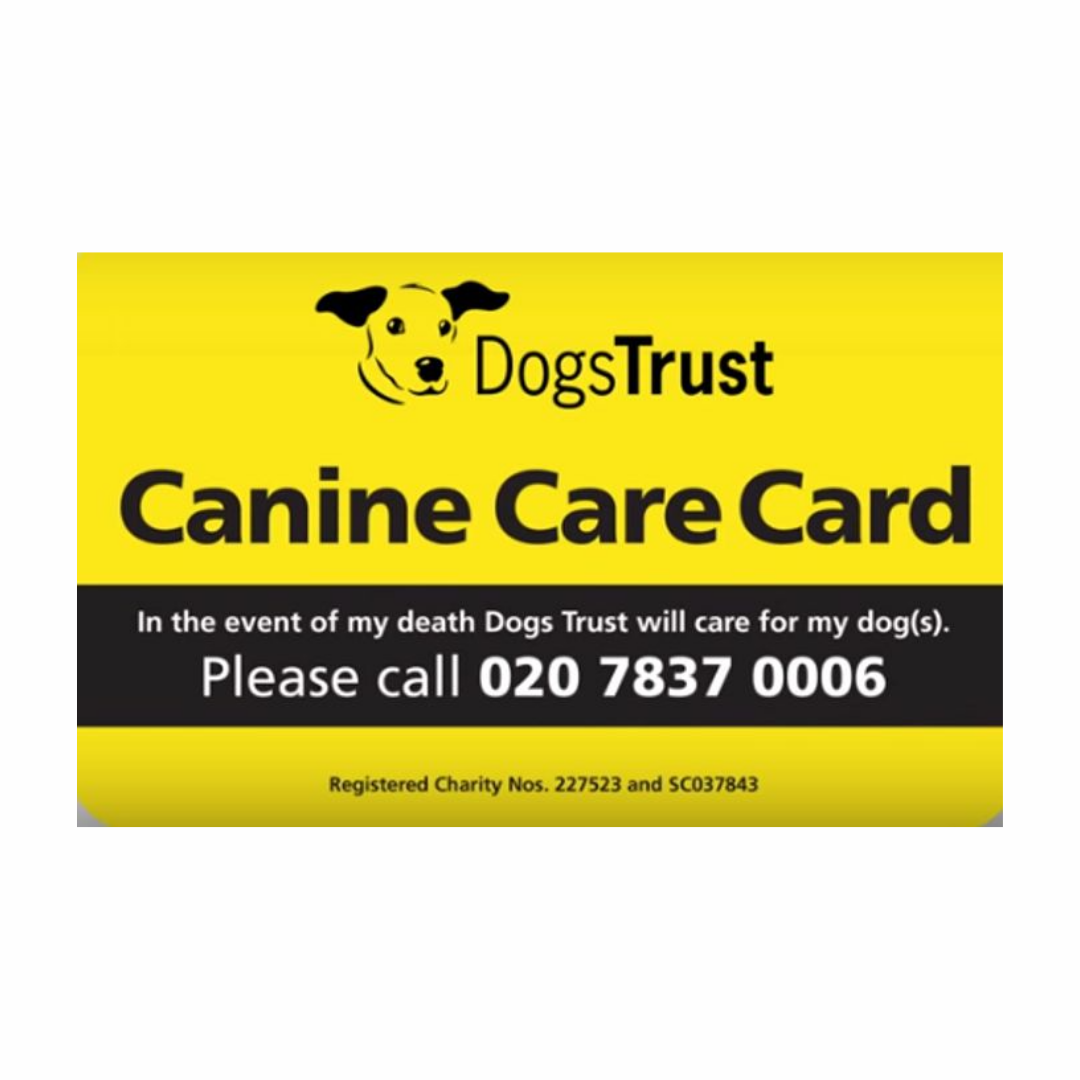 Free Dogs Trust Care Card LatestFreeStuff.co.uk