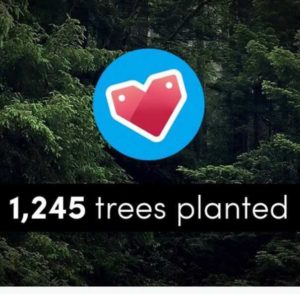 We’ve Planted Over 1,200 Trees to Celebrate Our 9th Birthday!