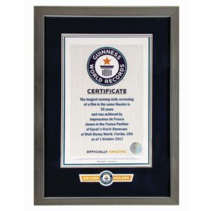 Free Guinness World Record Certificate