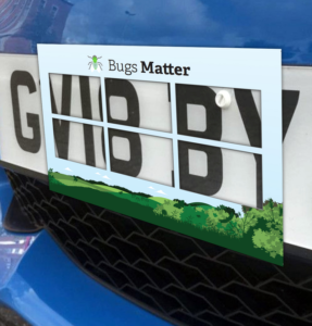 Free Bugs Matter Kit