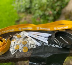 Free Dog Accessories Bundle