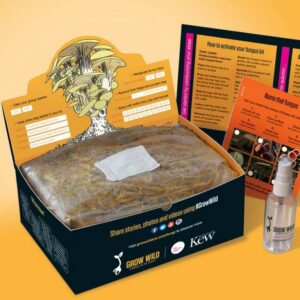 Free Grow Wild Mushroom Kit