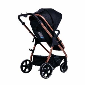 Free Pushchair (Worth £400)