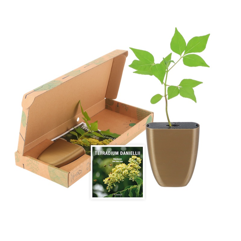 Free Tree Plant Pot