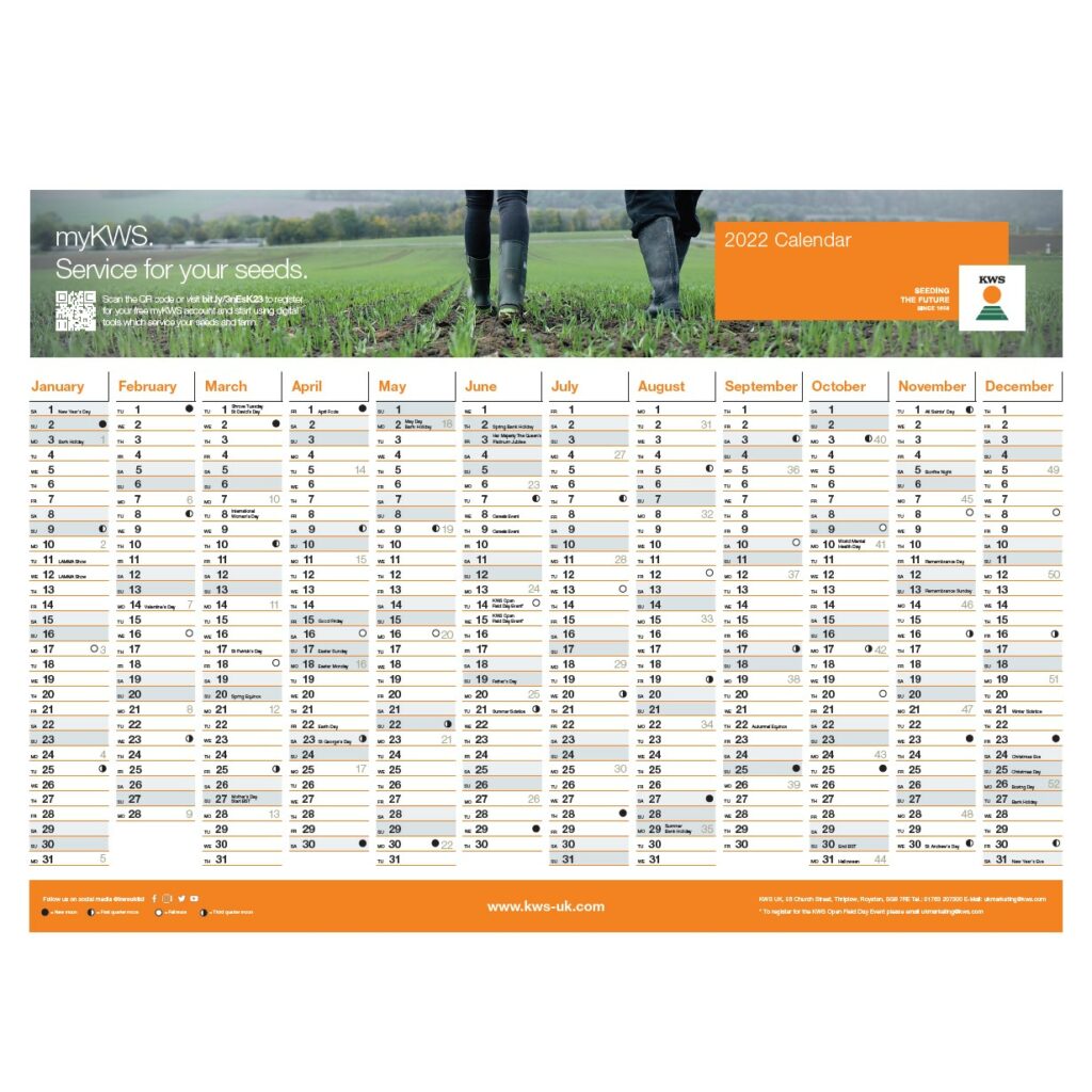 Free 2022 Wall Planner