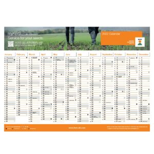 Free 2022 Wall Planner