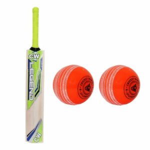 Free Cricket Bat & Ball Set