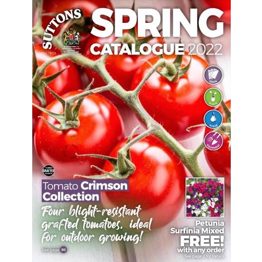 Free Vegetable Seeds Brochure