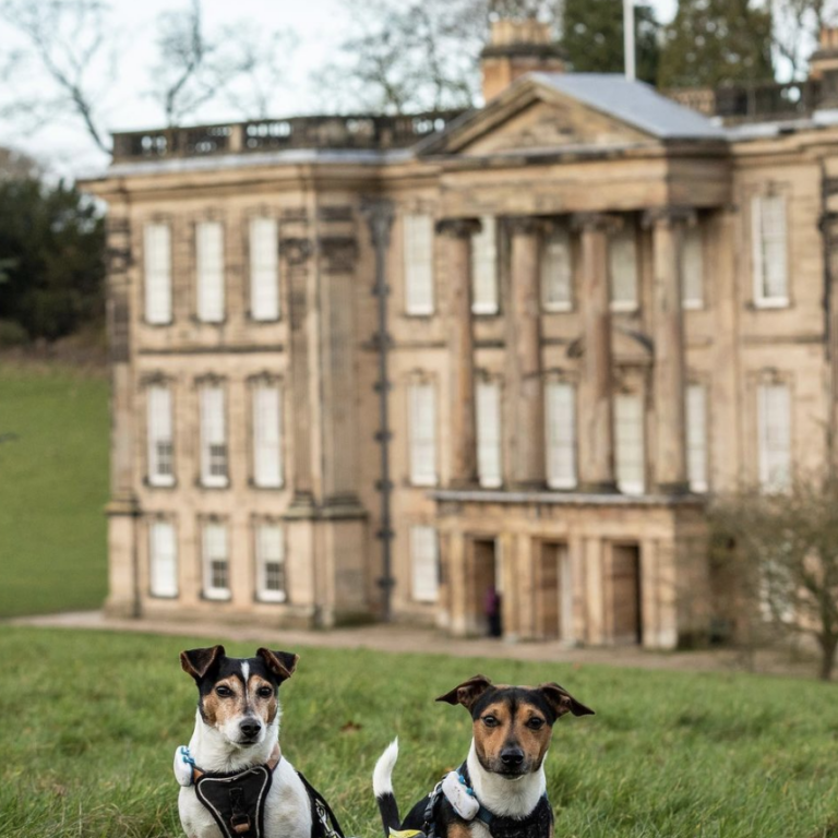 Free National Trust Passes (Worth £26) LatestFreeStuff.co.uk