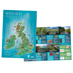 Free BBC Wild Isles Poster