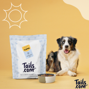 Free Dog Food Bag (Worth £24)