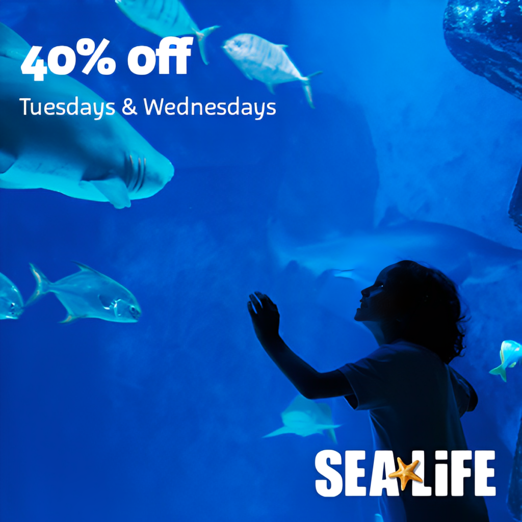 Sea Life – 40% Off!