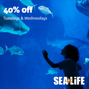 Sea Life – 40% Off!