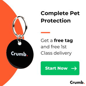 Free Pet Tag (Worth £19.99)